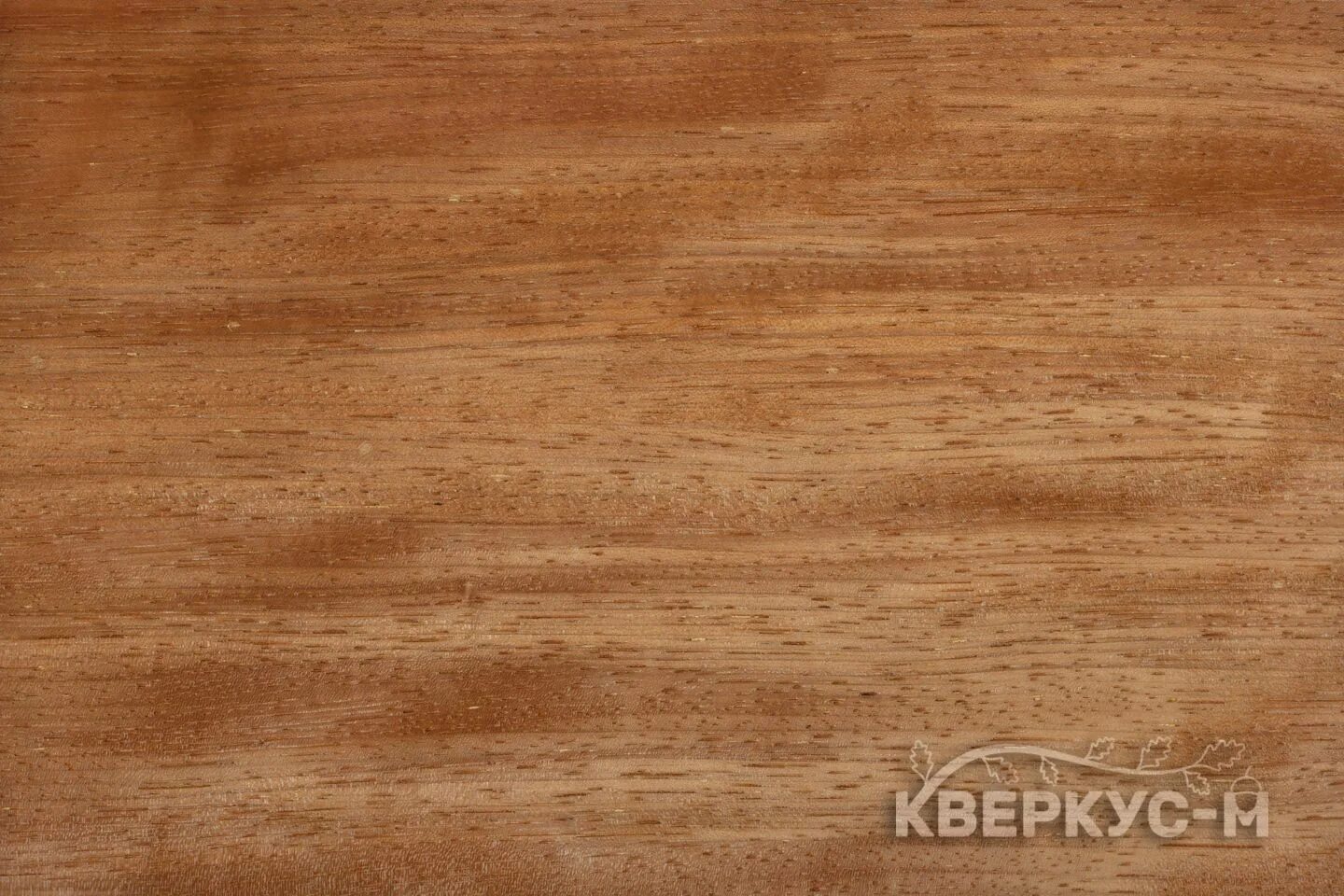Как выглядит вуд