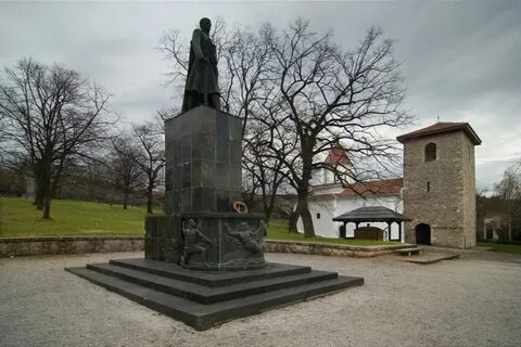 Бачка топола