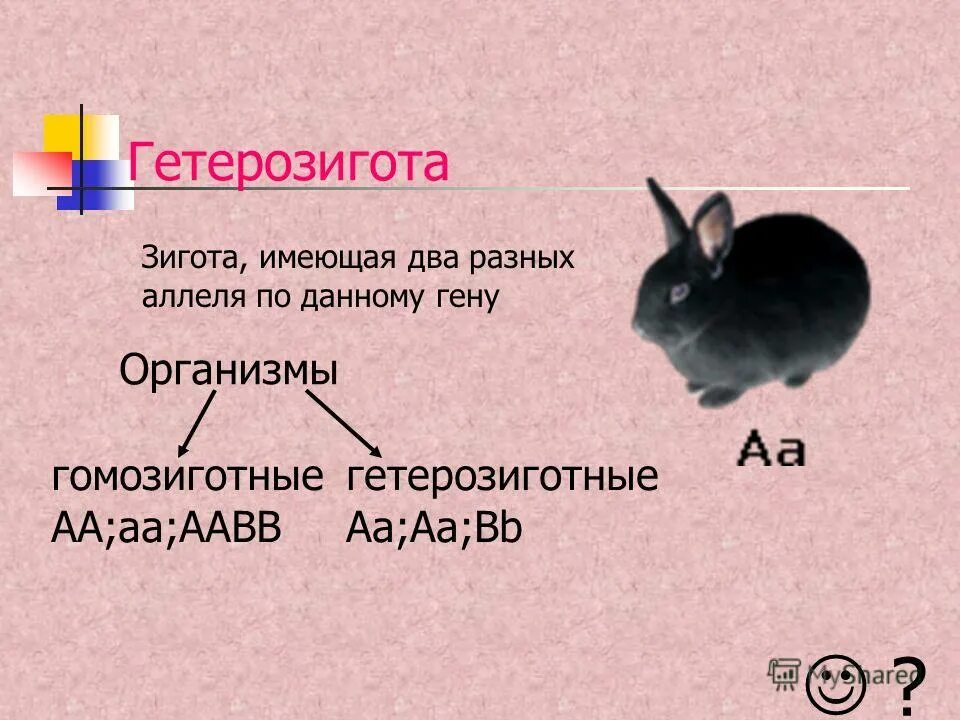 Гетерозиготные особи имеют генотип. Гетерозиготный организм это. Гетерозигота пример. Гомозиготы и гетерозиготы примеры. Геторощиготв.