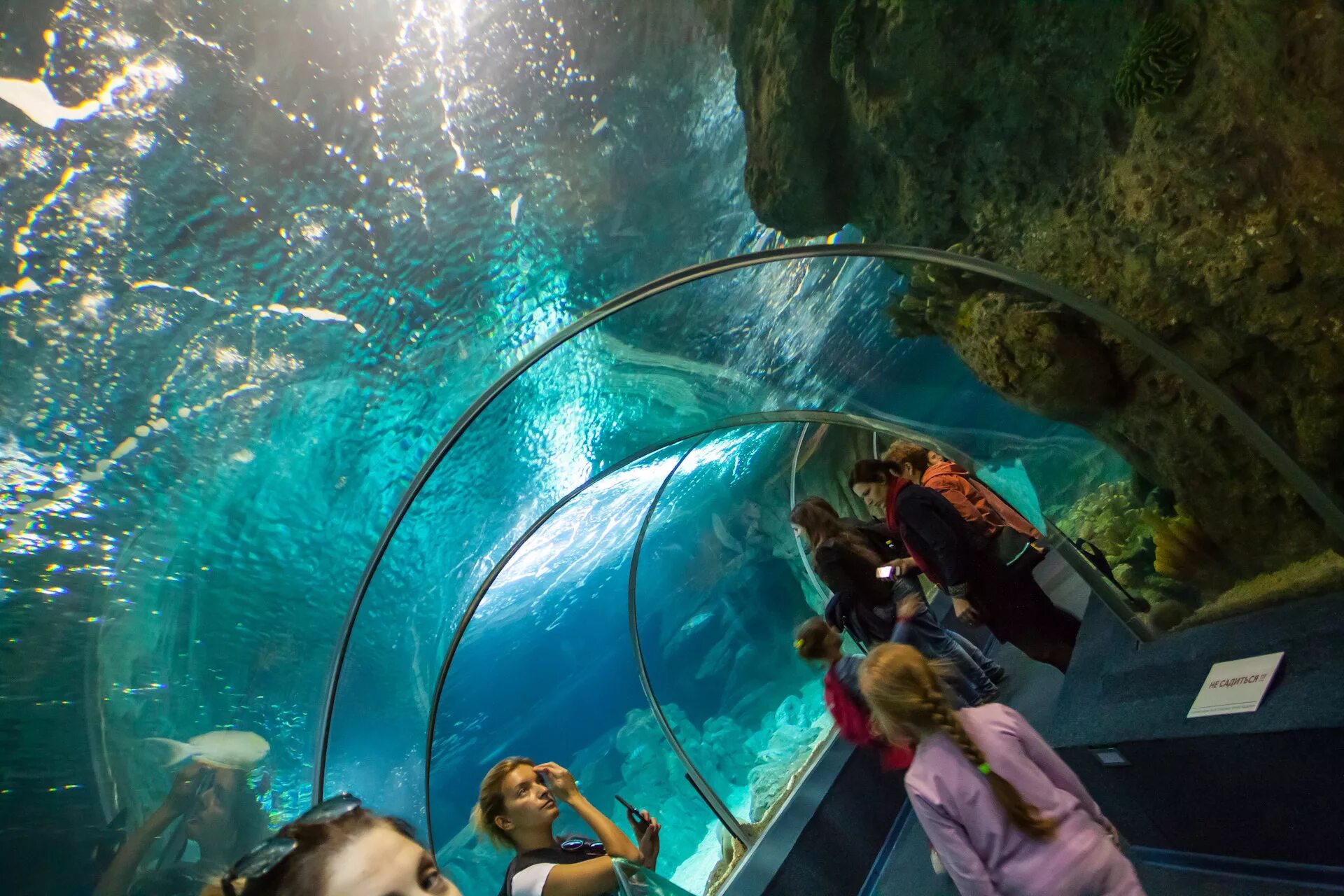 Океанариум discovery world. Океанариум Дискавери Адлер. Океанариум Сочи Адлер. Курортный городок Адлер океанариум. Океанариум SDWA Сочи.