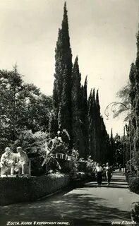 Старая хоста