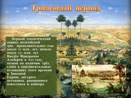 Кайнозойская эра неживая природа