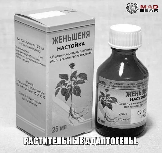 Элеутерококк настойка для женщин. Настойка элеутерококка левзея. Настойка женьшеня и элеутерококка. Адаптогены – настойки женьшеня. Растительные адаптогены левзея родиола лимонник элеутерококк.