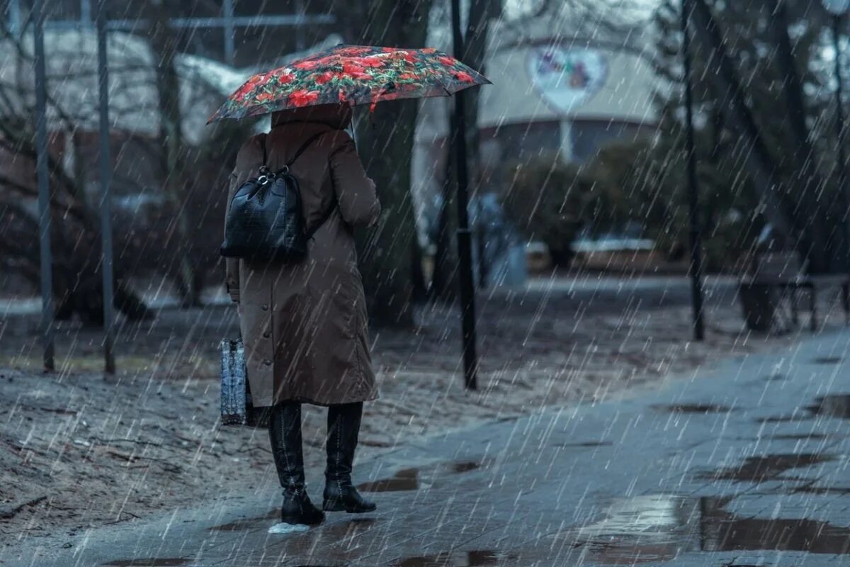 Дождливый день. Фотосессия в дождь. Дождливая погода. Воронеж дождь.