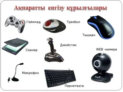 Порно дәрігер науқасты азаптайды