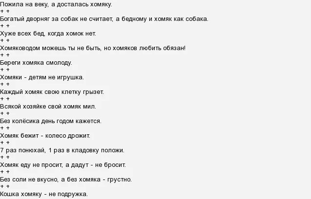 Хомяк ноты. Песня про хомяка текст. Текст песни хомячок. Песенка про хомячка слова. Текст песни хомяки.