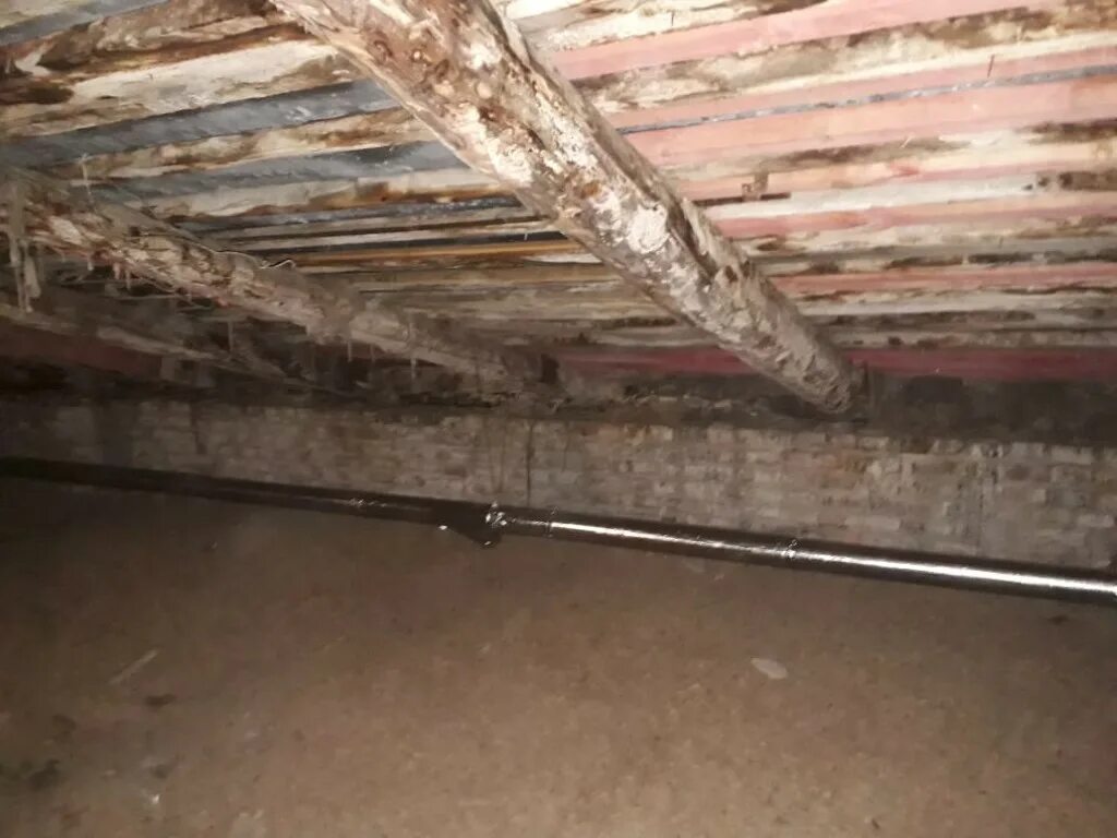 Чердачное помещение мкд. Чердак. Заваленный чердак. Чердачное помещение мкд. Чердачное помещение мкд.