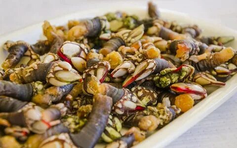 Морские уточки