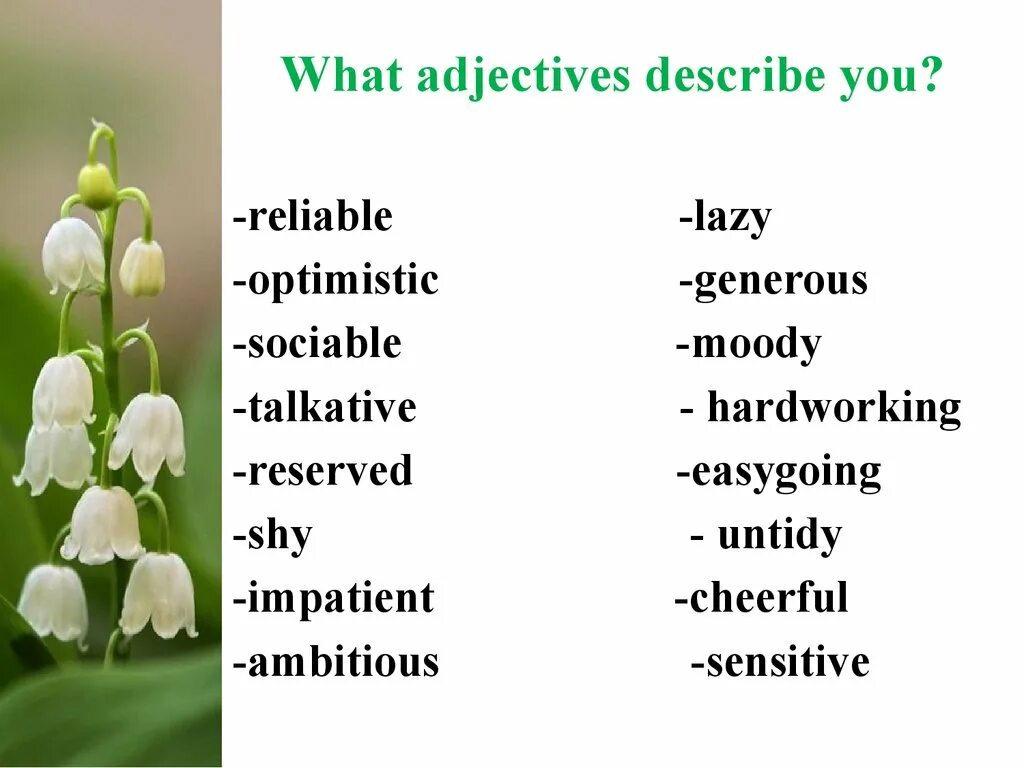 What are adjectives. Russian adjectives. Personality adjectives. Adjectives feelings.