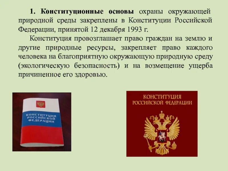 Конституция закрепляет условия для развития человека. Конституция охрана среды Конституция РФ. Конституционные основы охраны окружающей среды. Конституция об охране окружающей среды. Окружающая среда Конституция.