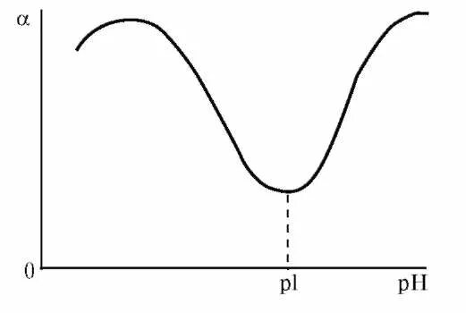 Зависимость степени набухания от PH. График зависимости степени набухания от PH. Зависимость степени набухания белков от РН. Изоэлектрическая точка график. Набухание биополимеров