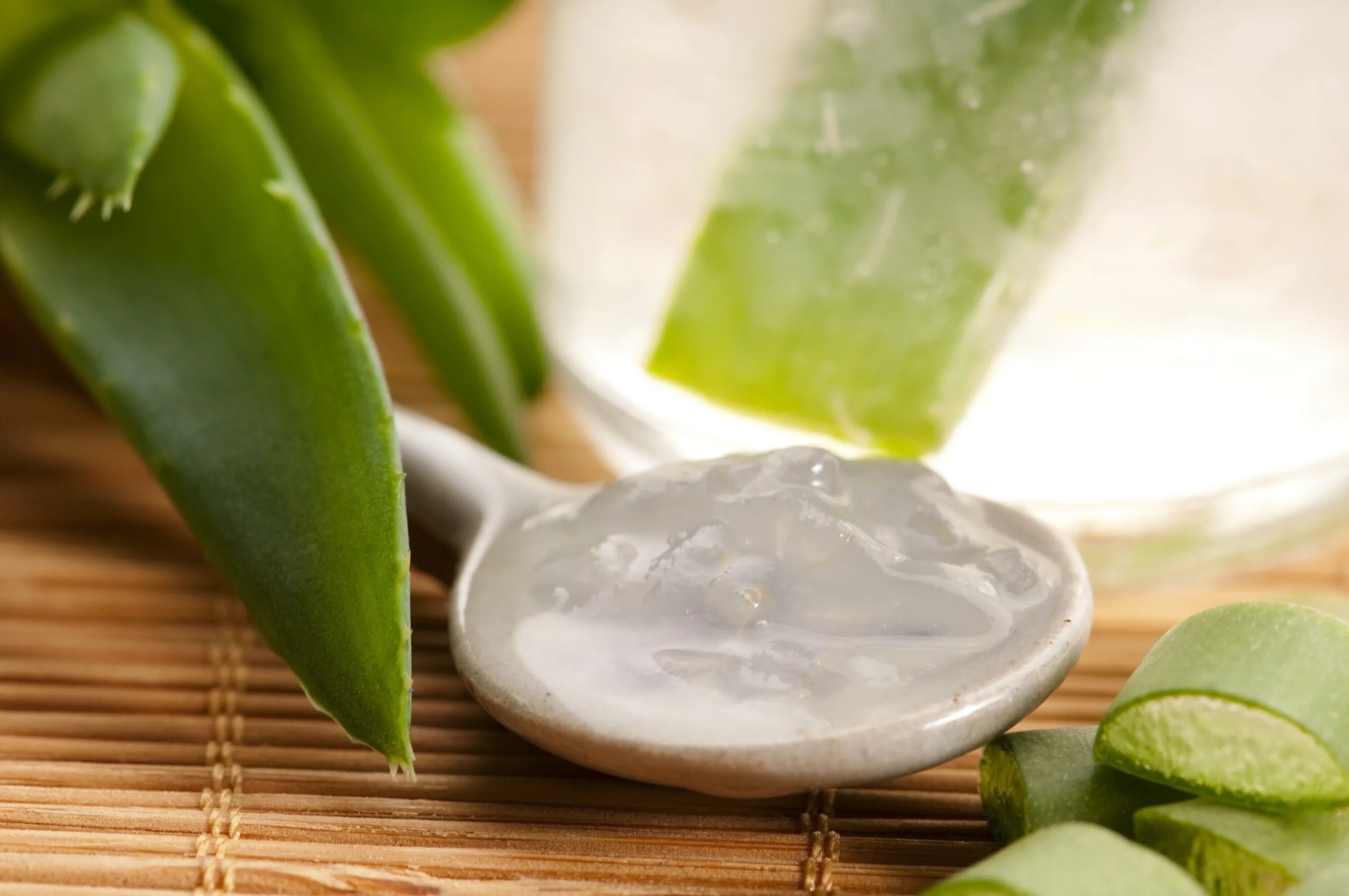 Aloe vera как пользоваться. Aloe Vera Oil 1l.