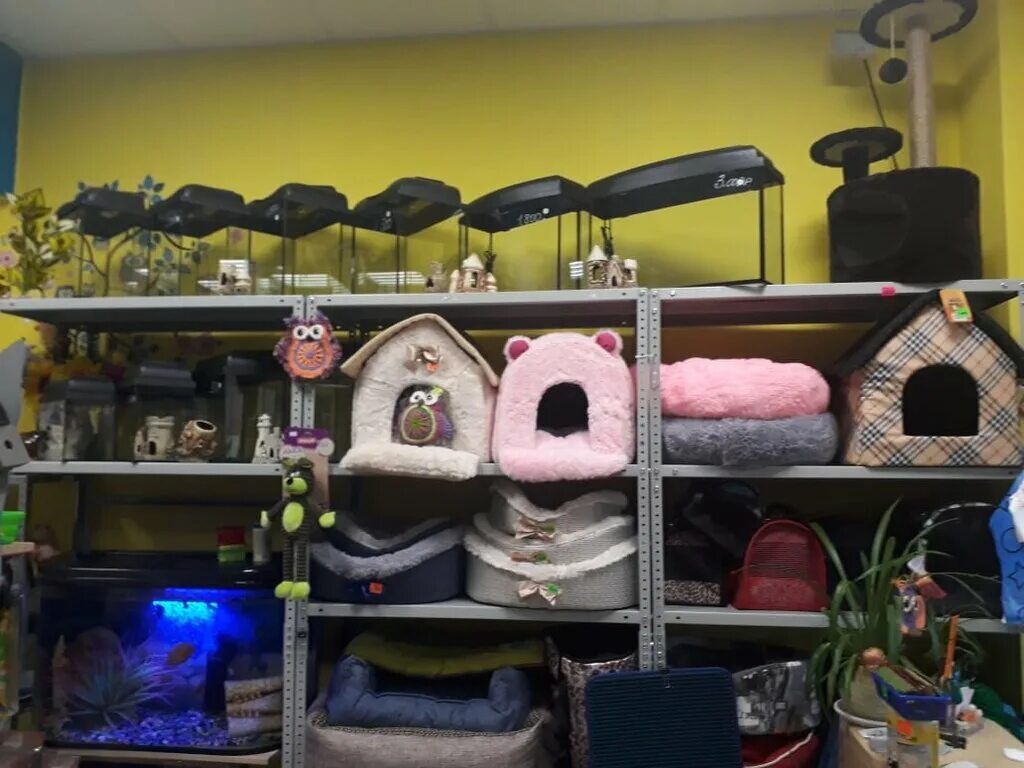 зоомагазин в малоярославце. джастин зоомагазин южно-сахалинск. лучший зоомагазин. зоомагазин на кузнецком мосту москва. зоомагазин.