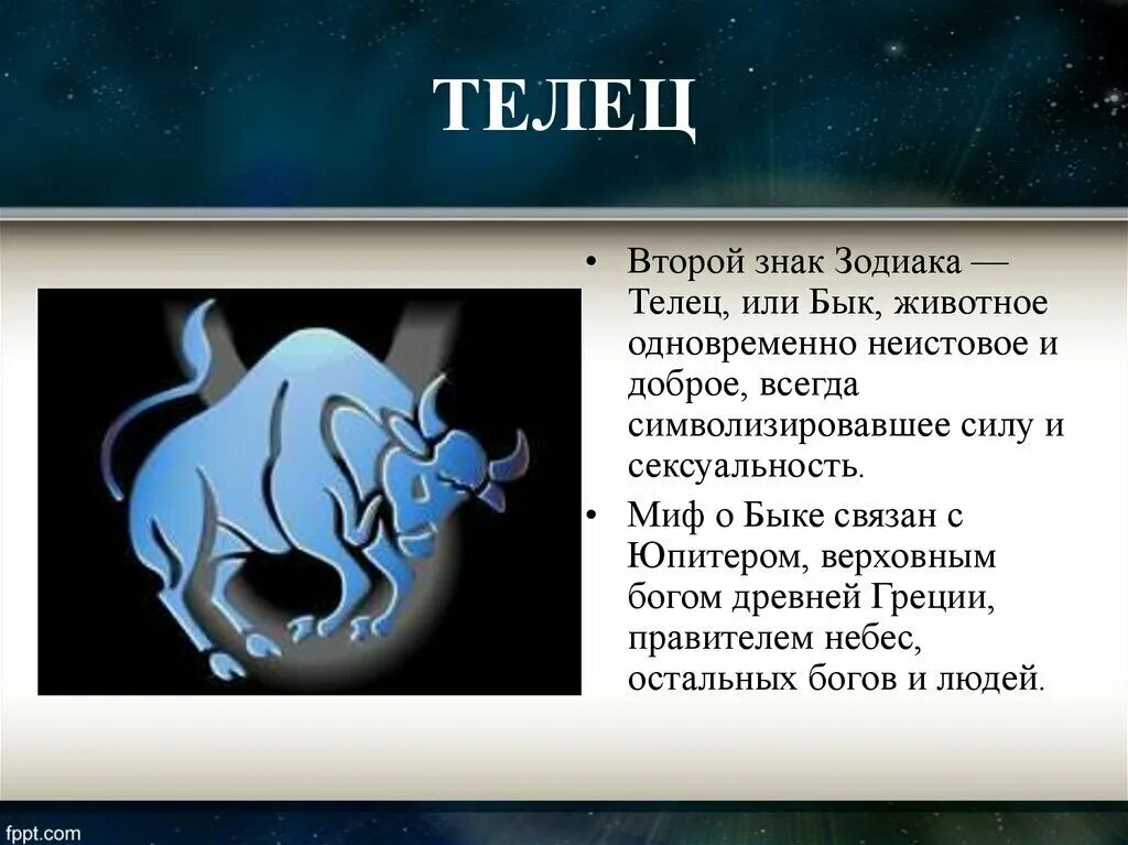 Характеристика тельца по гороскопу. Характеристика тельца по гороскопу