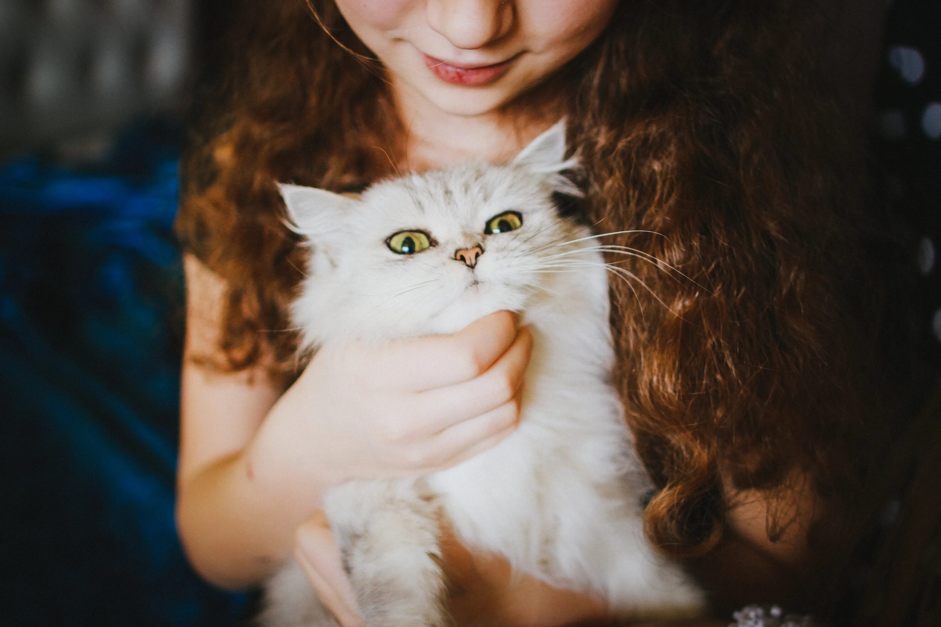 Девочка с белым котом. Девушка и белая кошка. девушка с котом. кошка девочка. фотосессия с кошкой.