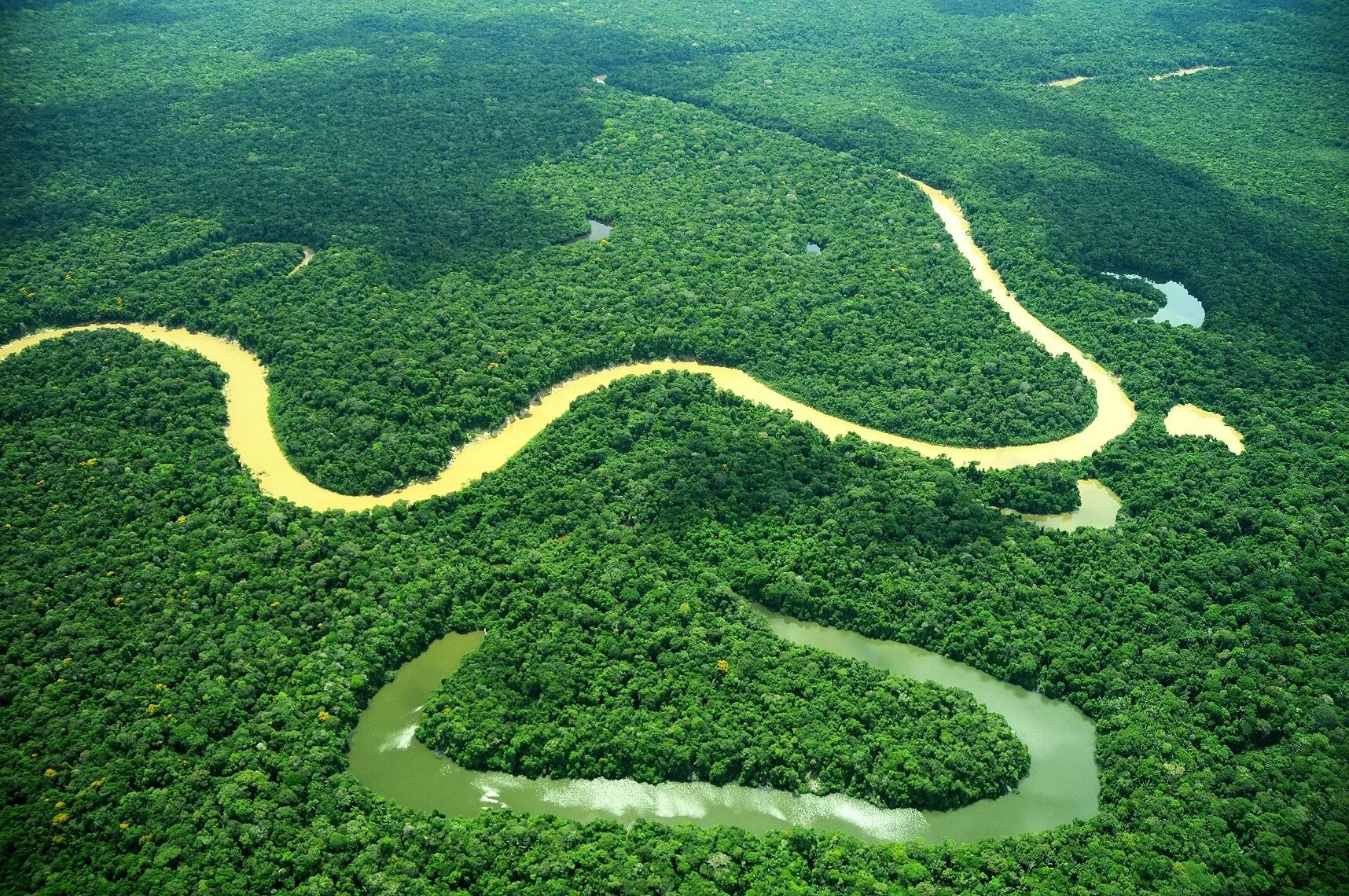 Какие крупные озера находятся на амазонской низменности. Гвианская Амазония национальный парк. Амазонская Сельва Бразилии. Комплекс резерватов центральной Амазонии (Бразилия). Природный резерват гвианская Амазония.