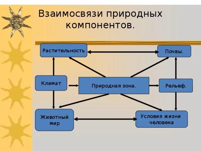 Самосвязи природных компонентов. Природные взаимосвязи. Взаимосвязь природных компонентов. Взаимосвязи между компонентами природы. Примеры взаимосвязей между компонентами природы в тайге