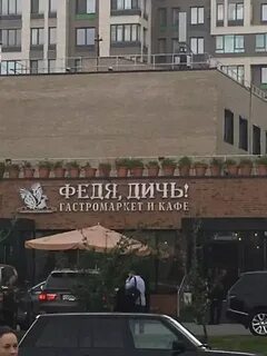 Феде дичь