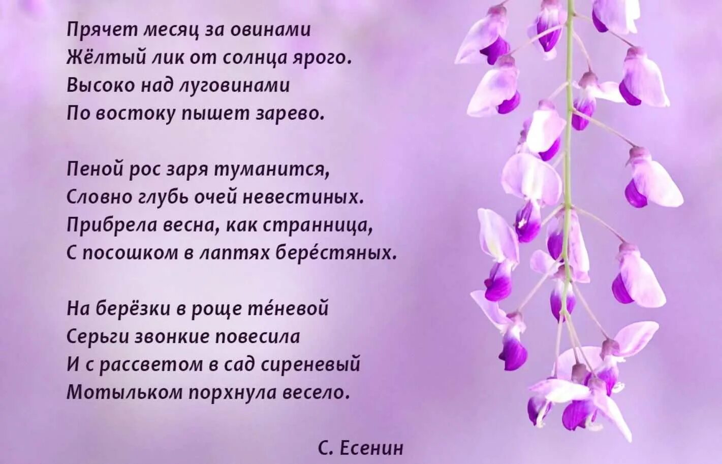 Стишки 5 строчек