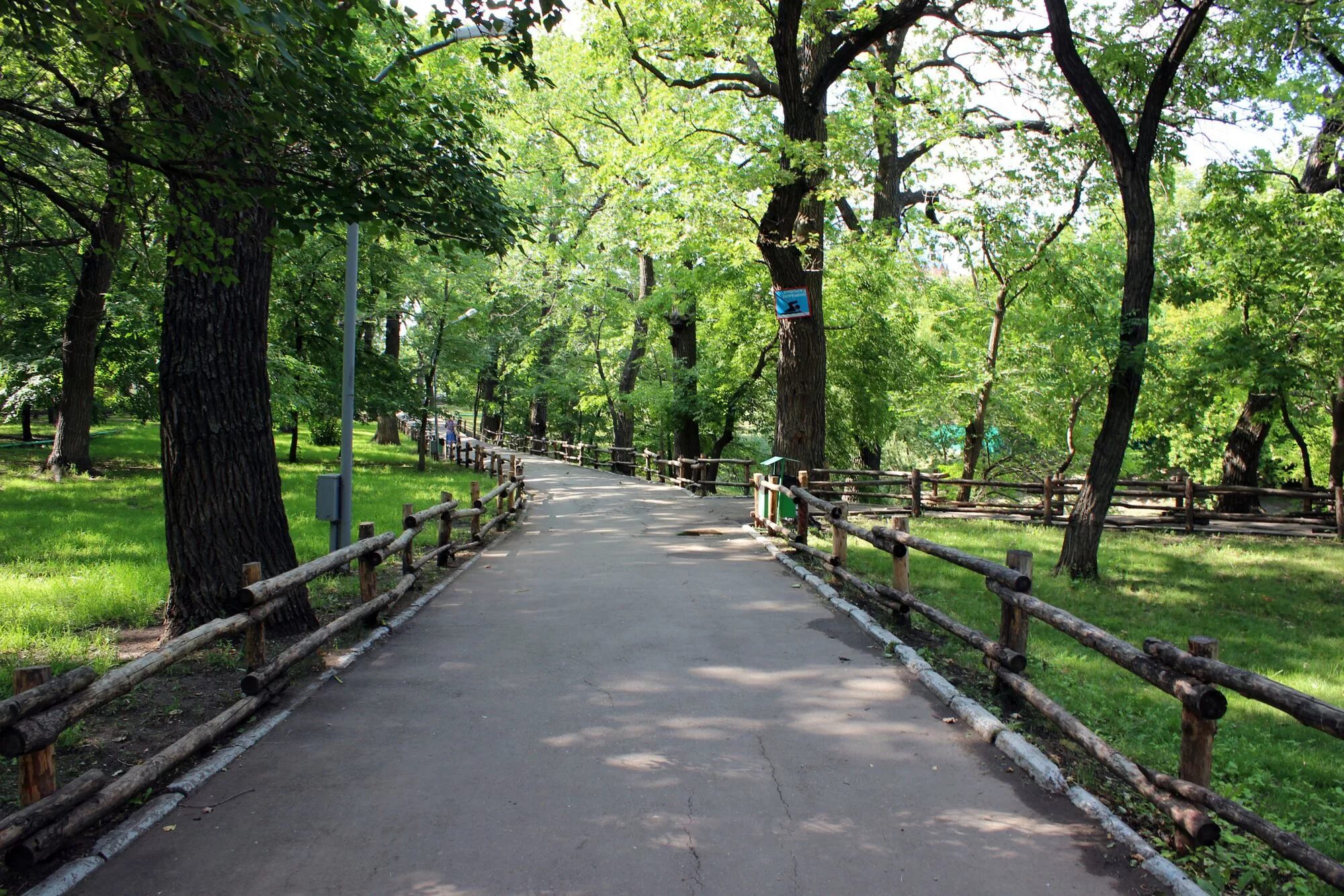 Чистые пруды парк. Лесопарк в городе. Парк им горького саратов. Городской парк воскресенск. Парк стоу прогулочная аллея.