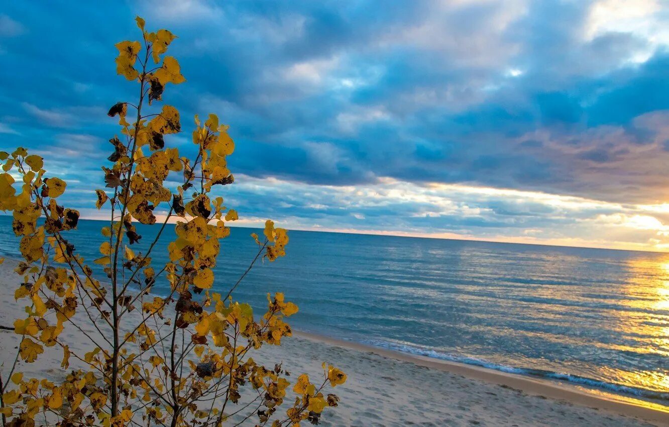 Осень солнце море. Осеннее море. Осень на море. Море осенью. Деревья на море осенью.