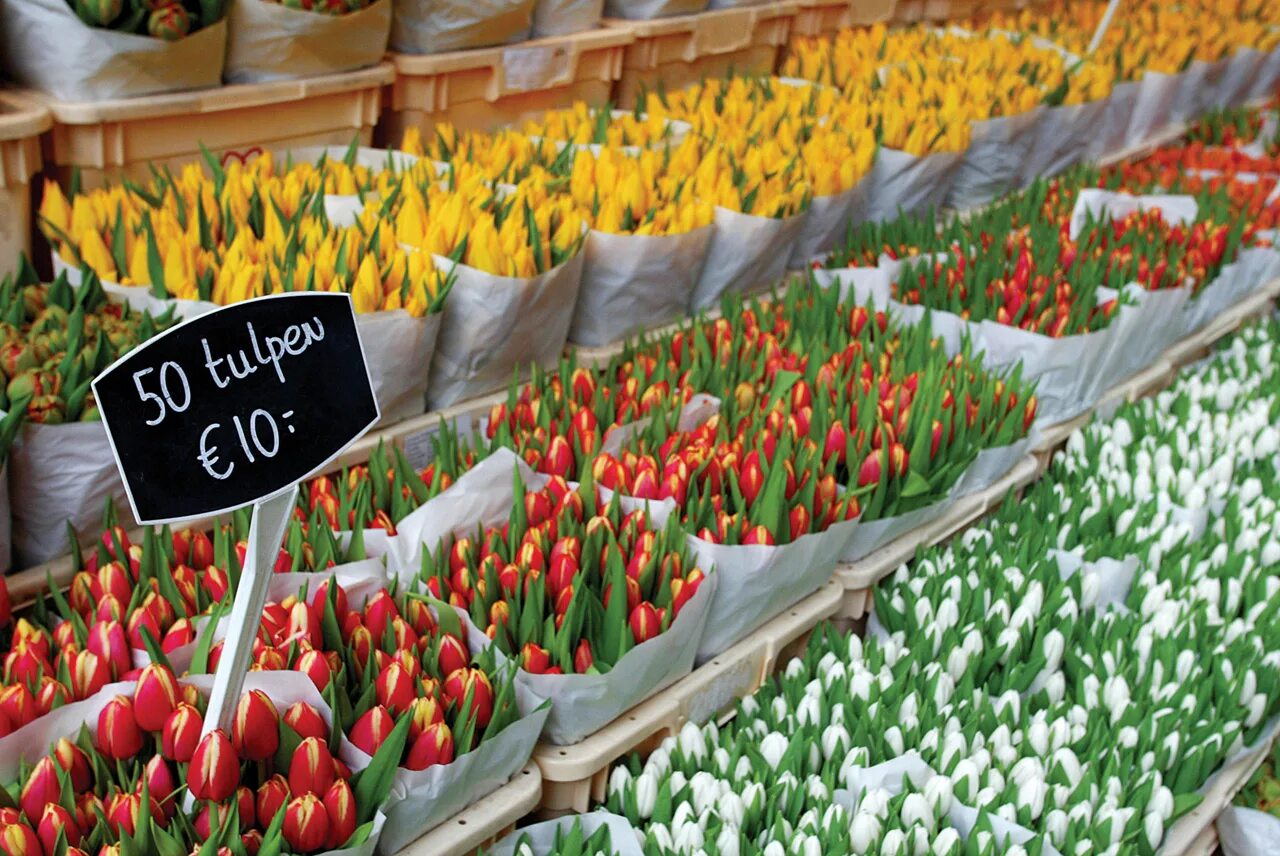 Цветочный рынок Блюменмаркт, Амстердам, Голландия. Bloemenmarkt в Амстердаме. Музей тюльпанов в Голландии. Голландские тюльпаны Buket.