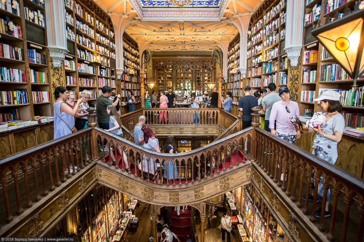Книжный магазин москва купить книгу. Livraria Lello Португалия. Книжный магазин Livraria Lello. Красивый магазин.