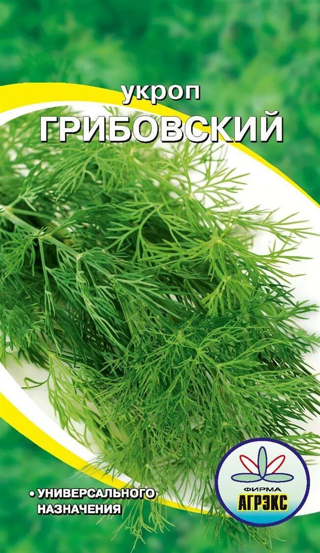Укроп грибовский. Укроп грибовский фото. Укроп сорт грибовский. Укроп малахит. Семена укропа кустистый каприс.