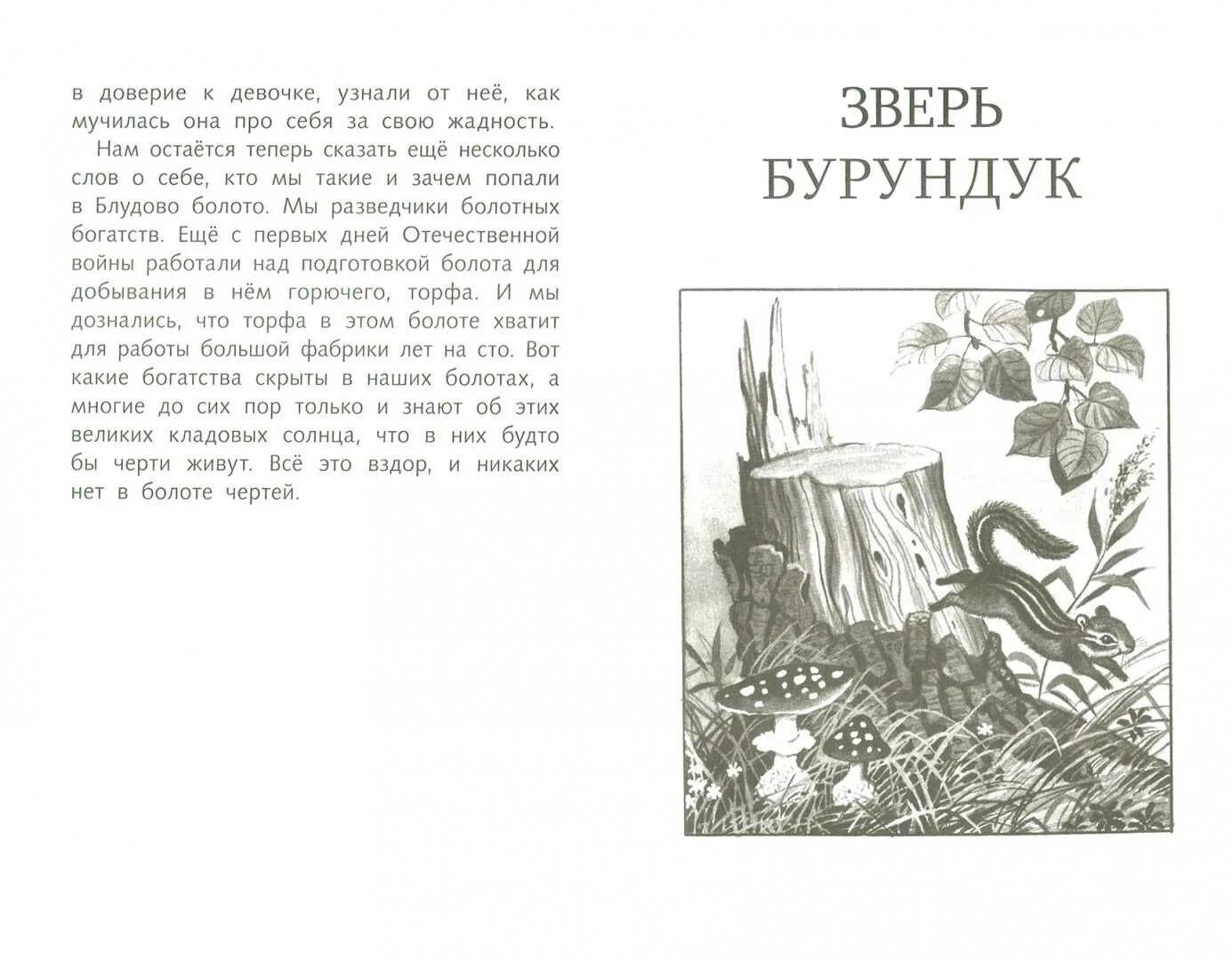 Пришвин Солнечная кладовая. Книжка пришвин кладовая солнца. Кладовая солнца пересказ кратко. Кладовая солнца читательский дневник краткое.