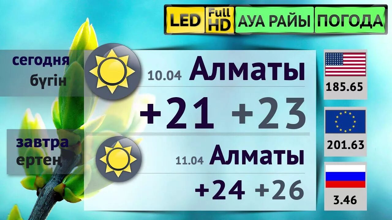 Алматы погода. Прогноз погоды Алматы. Алматы погода сегодня. Погода на завтра в Алматы. Погода в алматы в апреле 2024