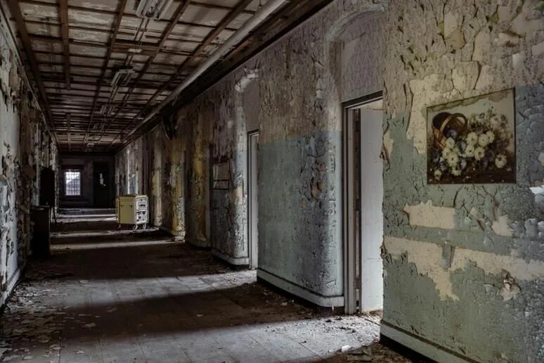 Asylum wiki