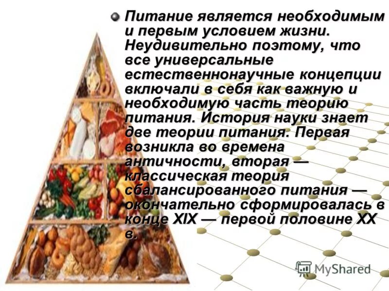 питание является необходимой. пирамида минеральных веществ в продуктах питания. принципы рационального питания. рациональное питание и здоровье человека. для нормального кроветворения необходимы факторы.