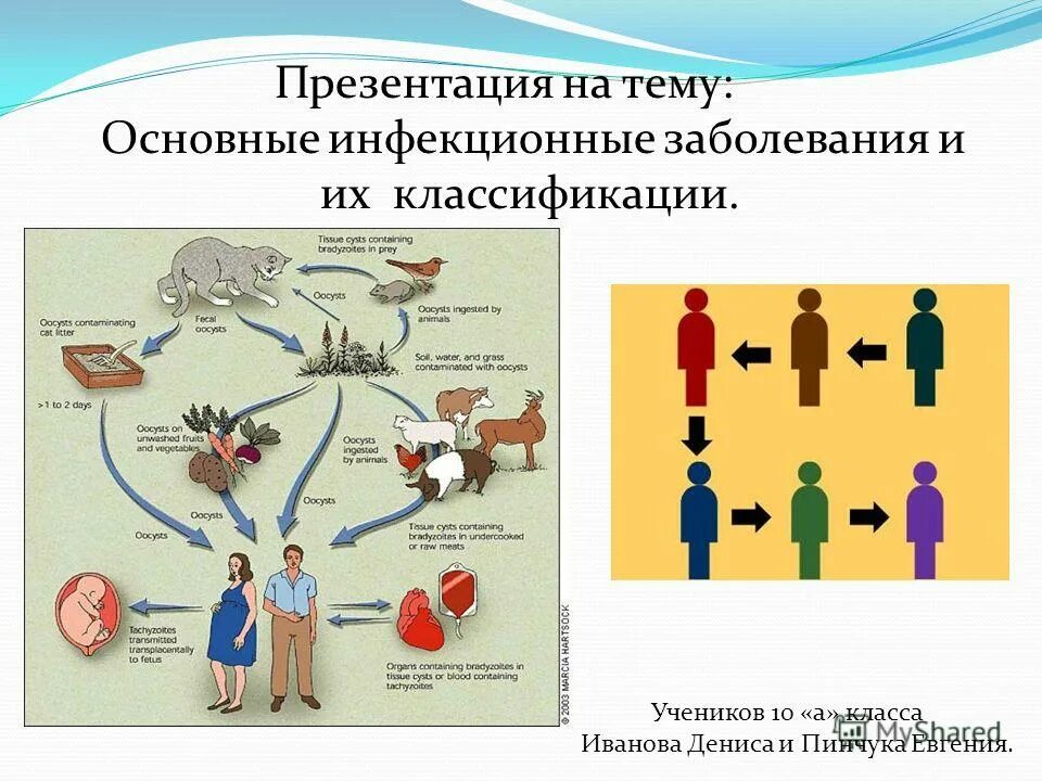 Профилактика инфекционных заболеваний обж презентация. Классификация передачи инфекционных заболеваний. Классификация и профилактика инфекционных болезней. Основные классификации инфекционных заболеваний. Классификация инфекционных болезней человека.