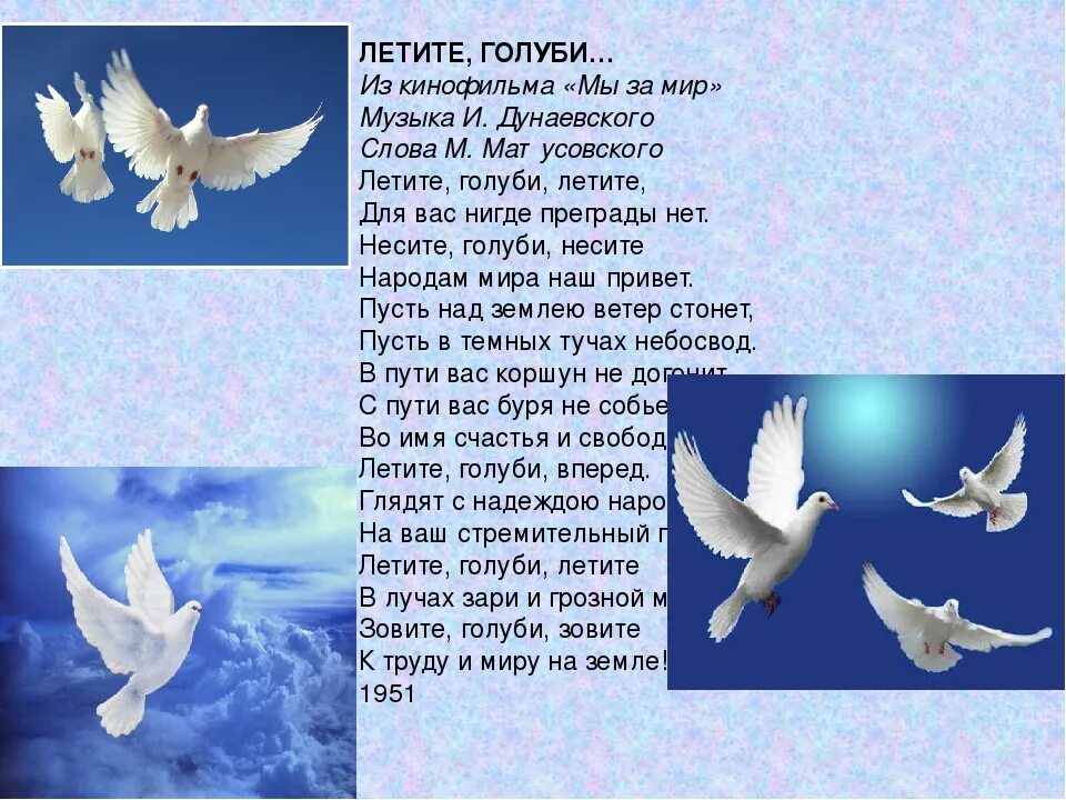 Петь песни голуби. День белых птиц. Мирное небо голуби.