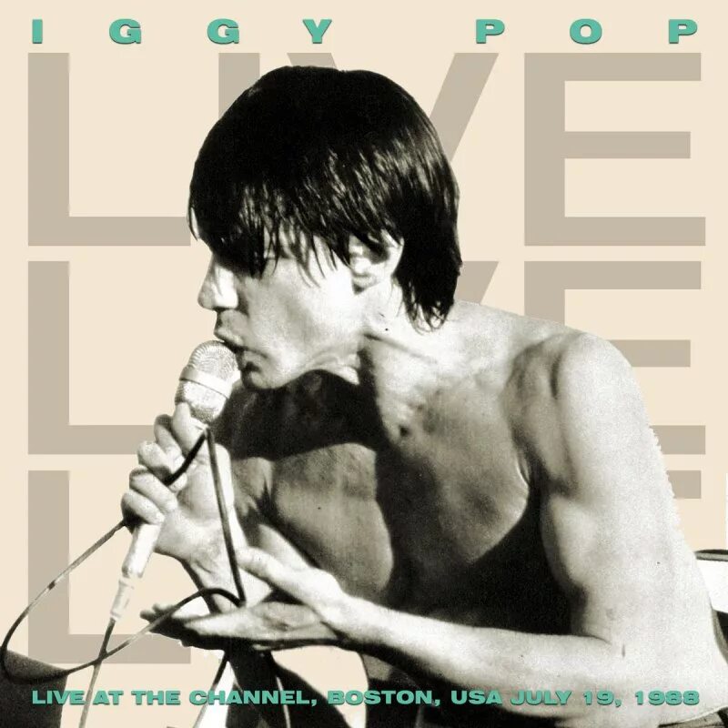Включи iggy pop. Нина алли и игги поп. Включи iggy pop. Pop iggy "live in nyc". Игги поп 2002.