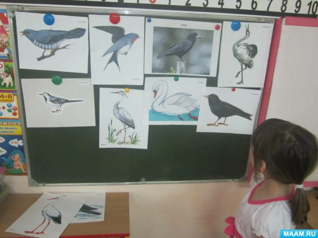 Перелетные птицы тема в детский сад. Подготовительная группа перелетные птицы группа. Занятие в детском саду перелетные птицы. Перелётные птицы занятие в подготовительной группе. Перелетные птицы занятие в старшей группе.