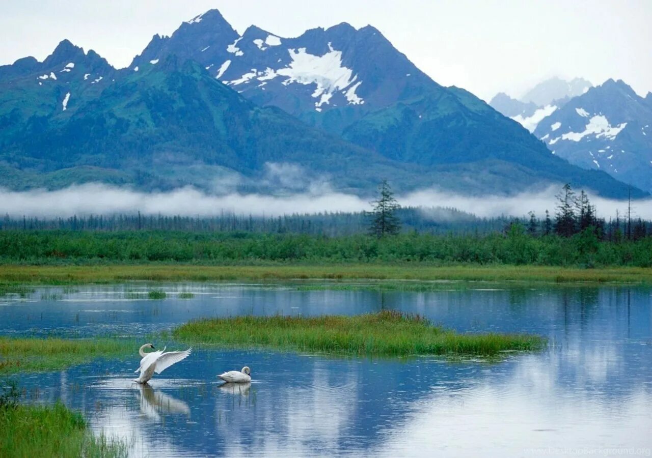 Alyaska. Штат Аляска природа. Северная Америка Аляска. Аляска штат озера. Субарктический пояс Северной Америки.