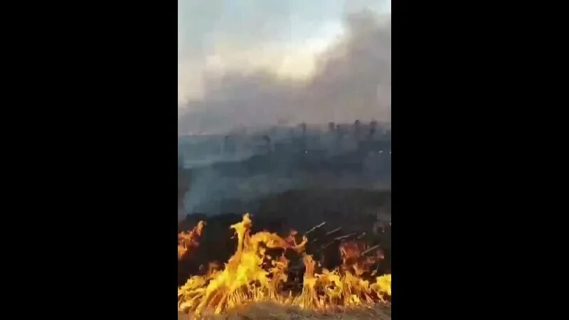 Что горит в нижнем новгороде. Горят Артёмовские Луга. Учебный пожар в Нижегородском Кремле. Горящий Нижний Новгород. Пожар в 2010 году в Нижегородской области.