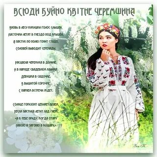 Слова песни черемшина на украинском