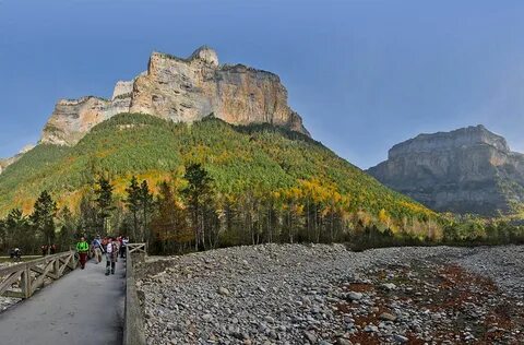 Monte parivision