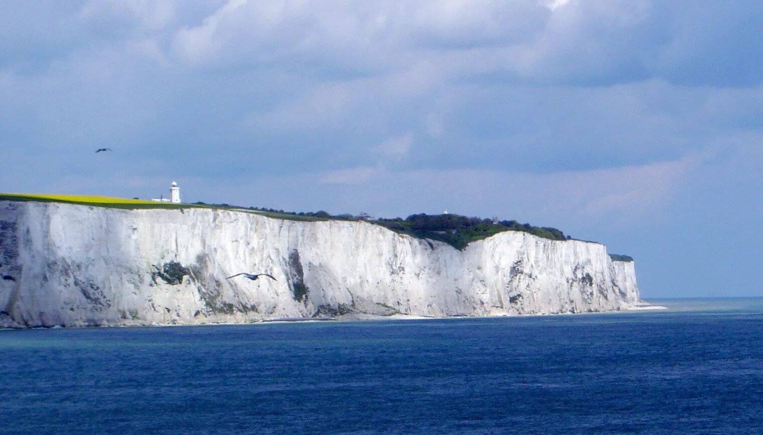 Белые клифы. Дувр White Cliffs. Белые скалы Дувра в Англии. Белые клифы Дувра Кент Англия. Мыс бичи хед Великобритания.