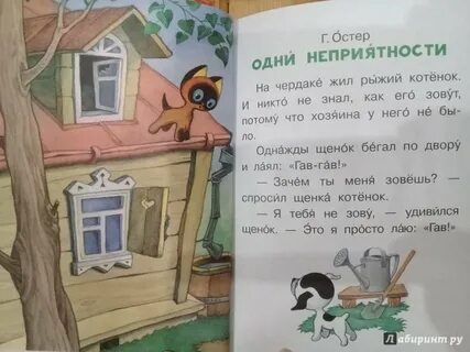 Одни неприятности