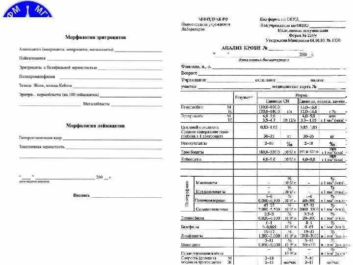 Направление на общий анализ крови бланк. Направление на клинический анализ крови бланк. Направление на исследование крови бланк. Бланки на анализ крови распечатать.