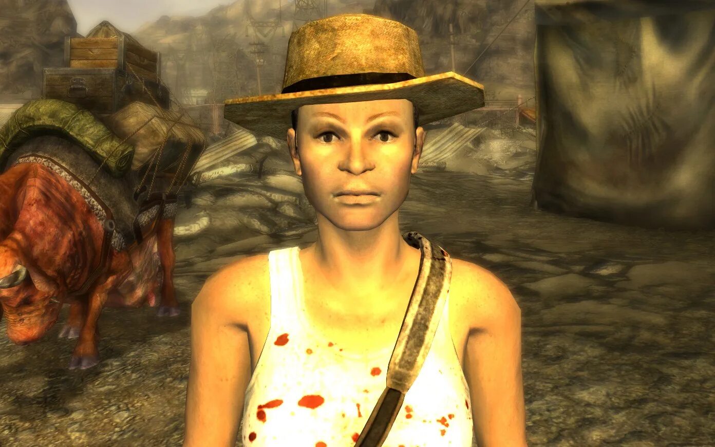 Fallout new vegas ncr ranger art. Напарники нью вегас. Убежище 19 fallout new vegas. Fandom new vegas. Фоллаут нью вегас лас вегас.