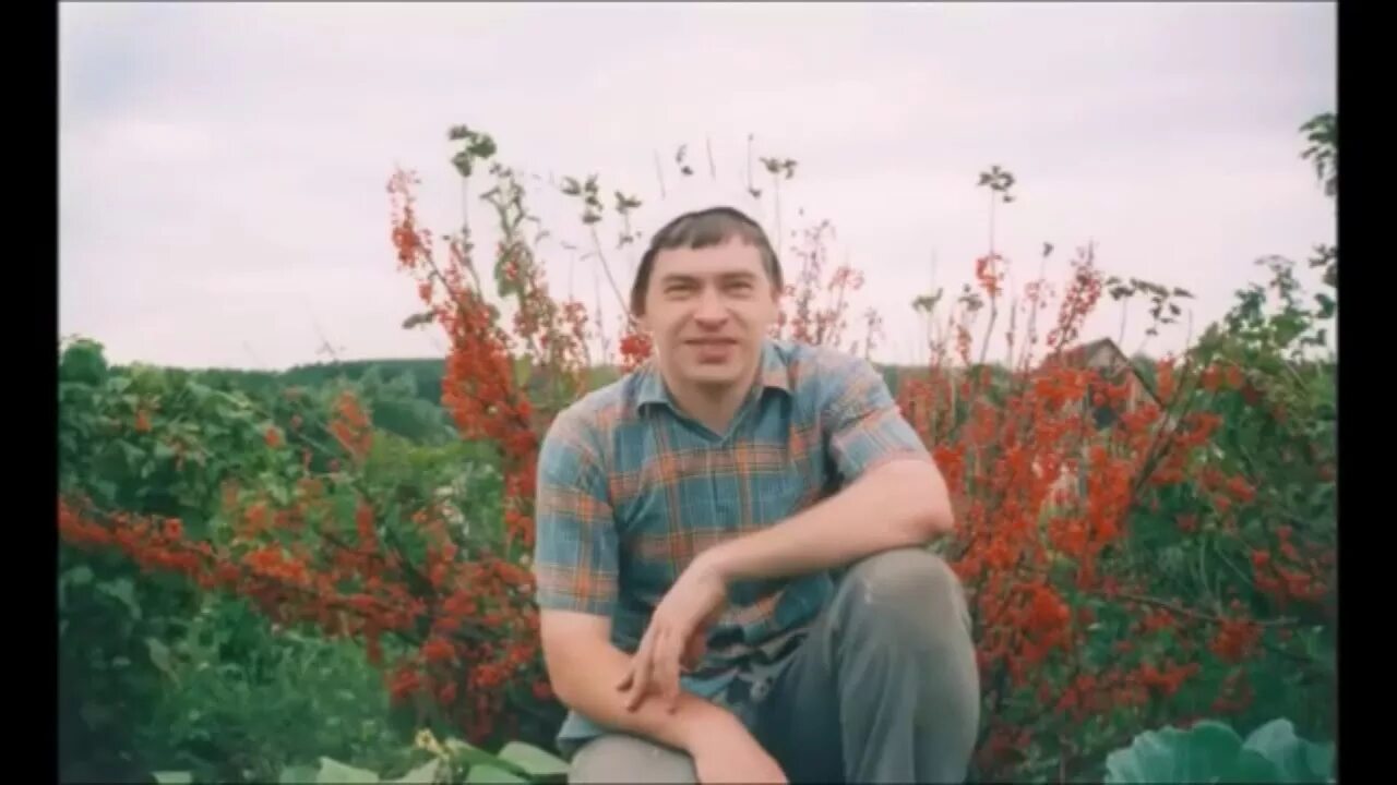 Молодых гена. Семья геннадия горина. Молодых гена. Крокодил гена ищет друзей. Молодых гена.