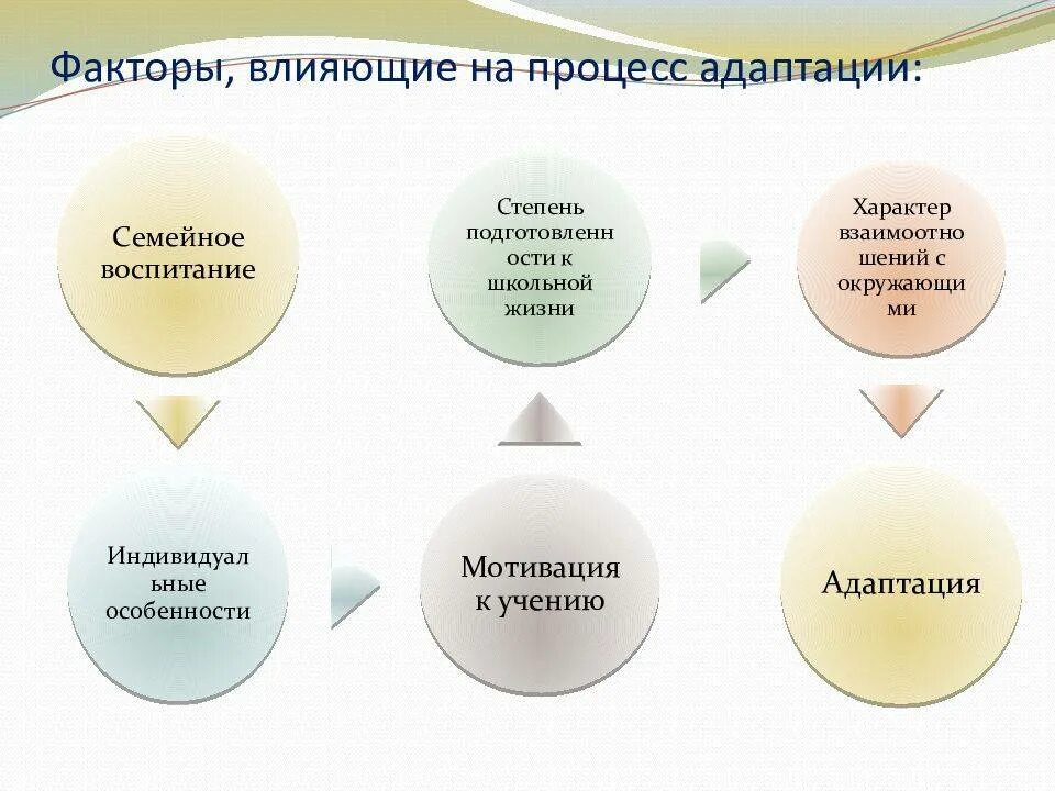 Влияние на развитие учащихся. Фазы адаптации к школе. Проблема адаптации к школе. Трудности адаптации к школе. Факторы влияющие на процесс адаптации.