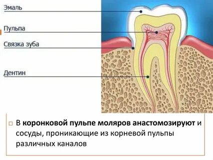 Суспензия пульпа