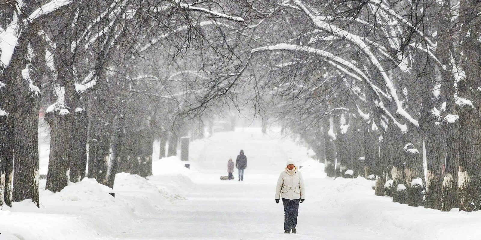 Январские морозы. Зима исчезает. Душевная зима. Зима исчезает. Зима исчезает.