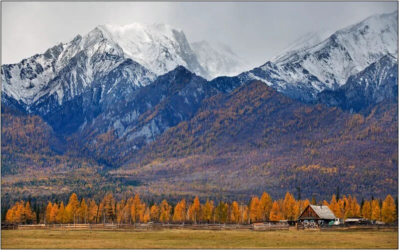 Аршан горы саяны. Пик звездный ергаки база отдыха. Осень саяны аршан. Аршан кемпинг кедр. Саяны горы сардыко.