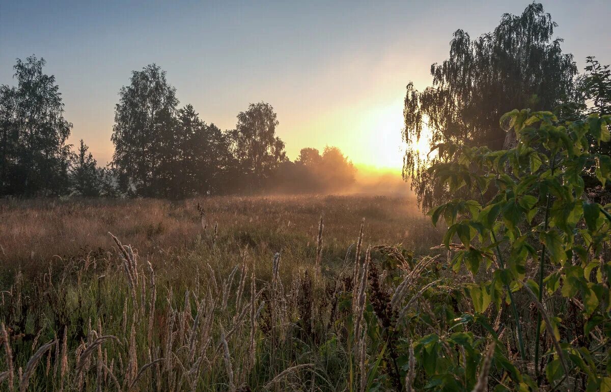 Осенние цветы. Конец лета красный закат. Осенний натюрморт на окне. Август природа. Картинки конец лета август.